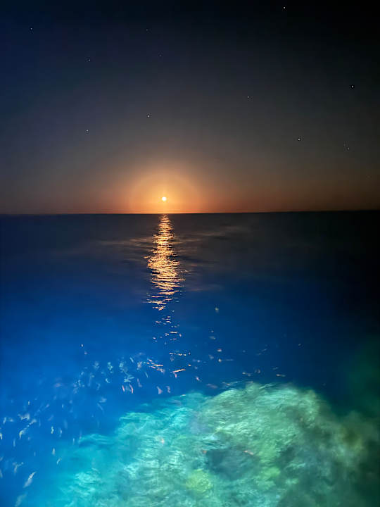 Außenansicht Wadi Lahmy Azur Resort