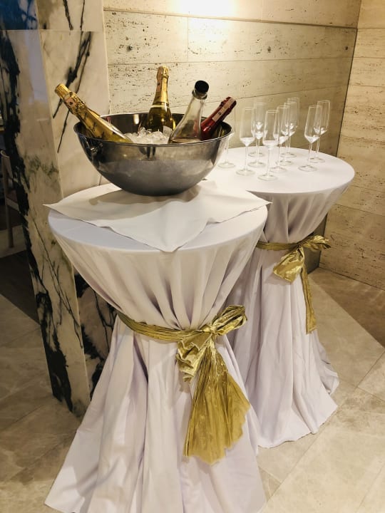 Gastro Acanthus Cennet Barut Collection