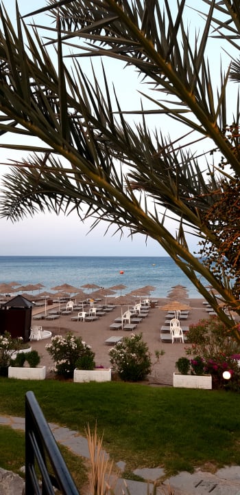 Sonstiges Hotel Calypso Beach