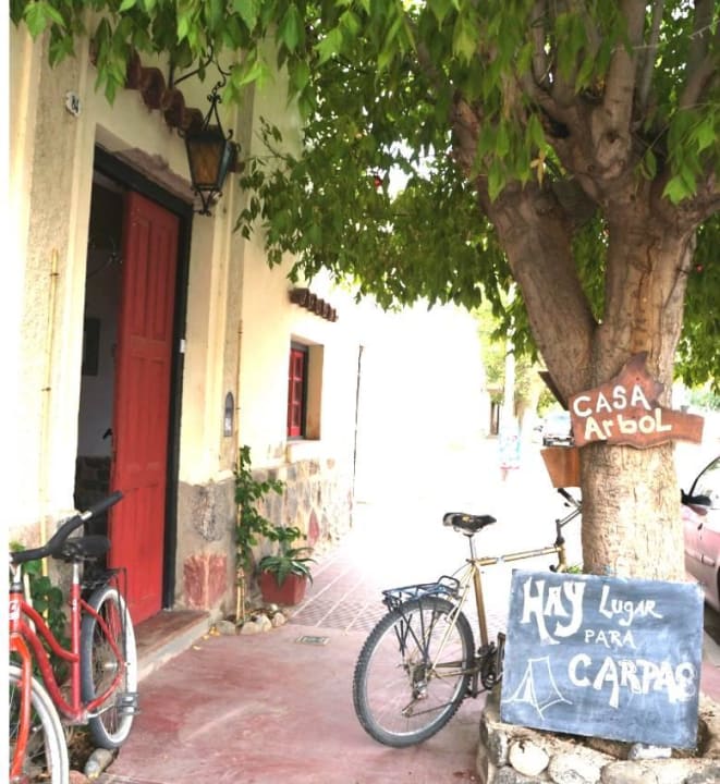 1 tree 1 house B&B Casa Arbol