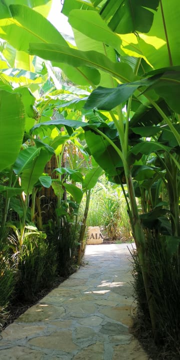 Gartenanlage Balmy Beach Resort Kemer