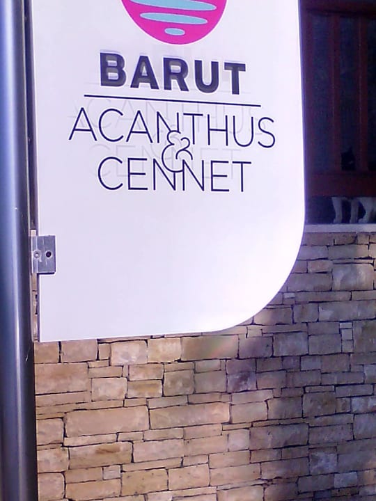 Name sollte man sich merken Acanthus Cennet Barut Collection