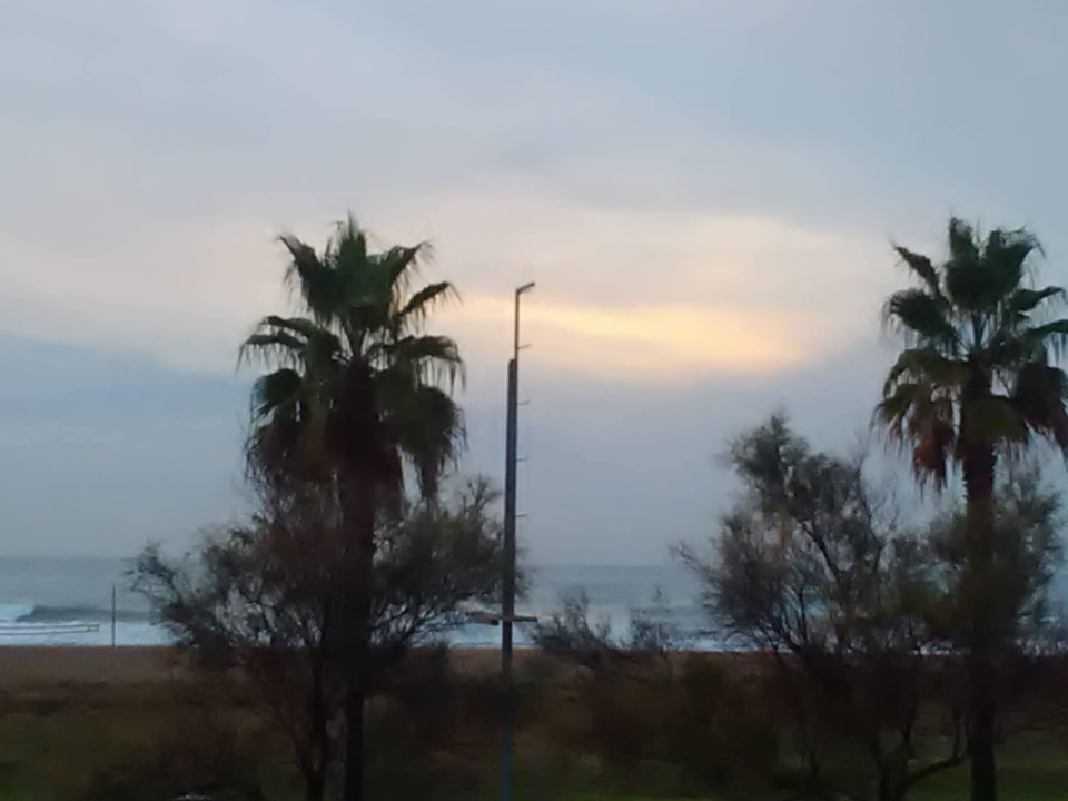 View from balkon Aparthotel Solifemar