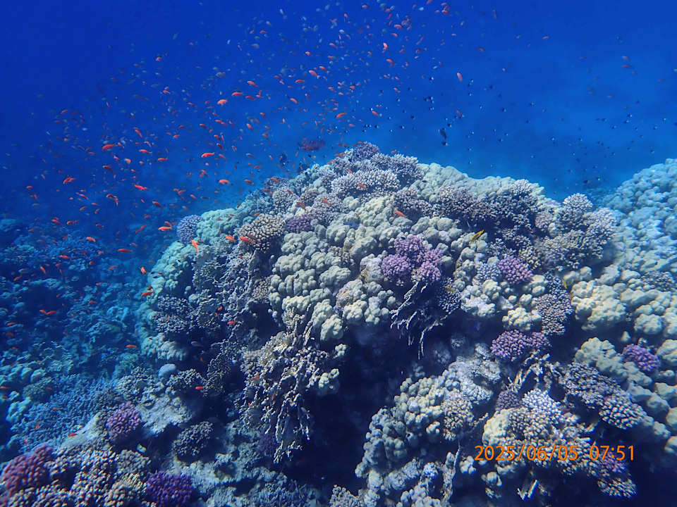 Strand Makadi Spa - Adults only