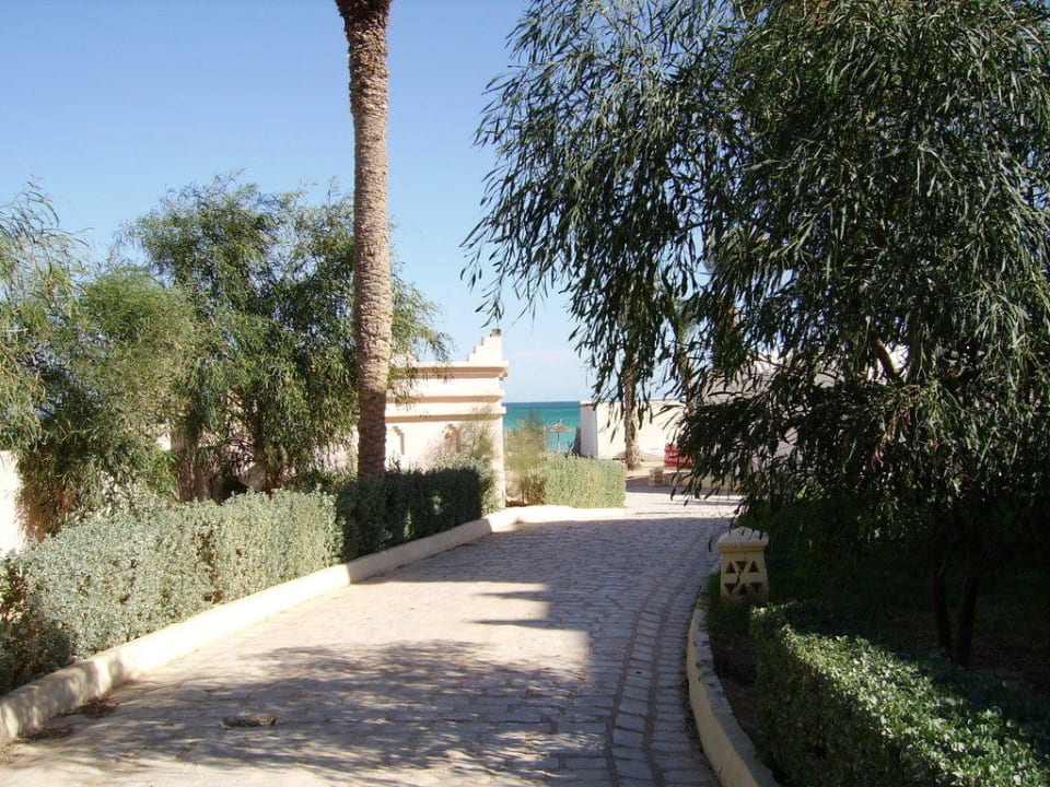 Weg zum Strand/Kidsclub Vincci Safira Palms
