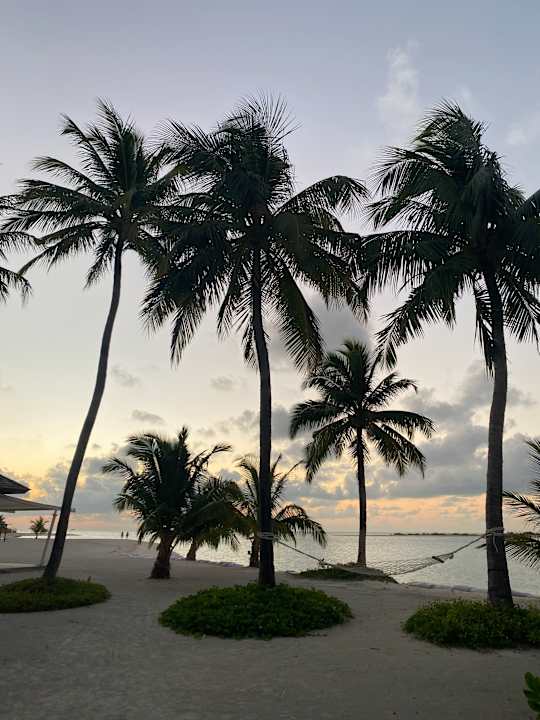 Gartenanlage Cinnamon Hakuraa Huraa Maldives