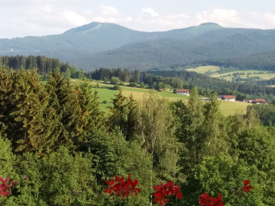Ausblick Hotel Sonnenhof