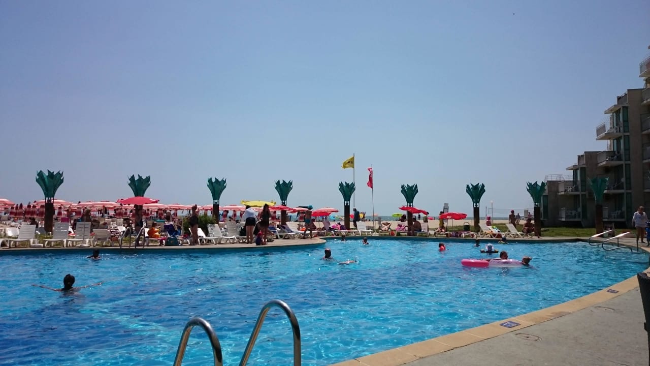 Бассейн отеля Hotel Borjana