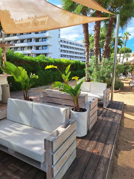 Gartenanlage allsun Hotel Eden Alcudia