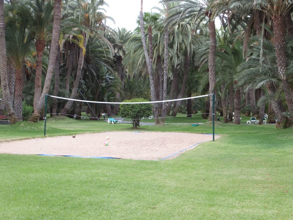 Gartenanlage Hotel Riu Palace Oasis