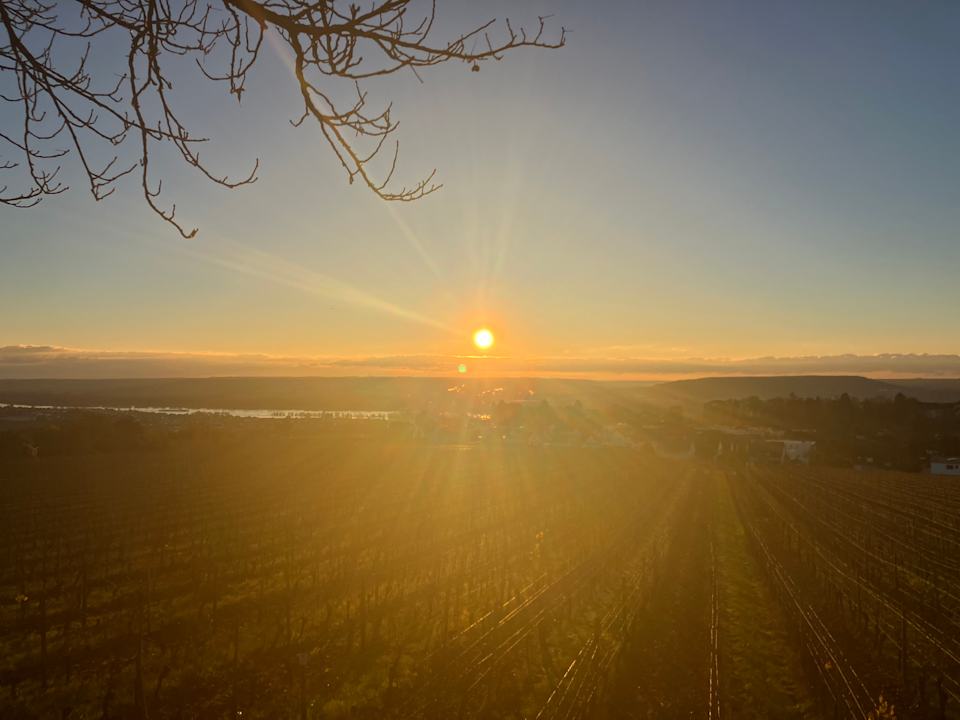 Ausblick Relais & Châteaux Hotel Burg Schwarzenstein
