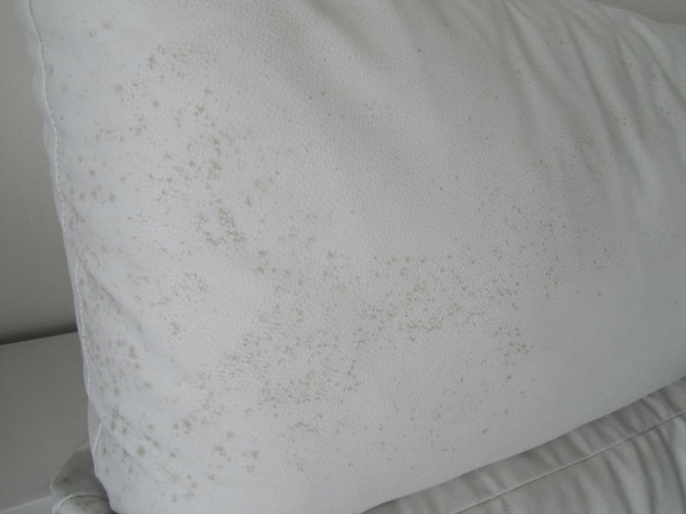 Schimmelflecken auf der Couch Samui Resotel Beach Resort