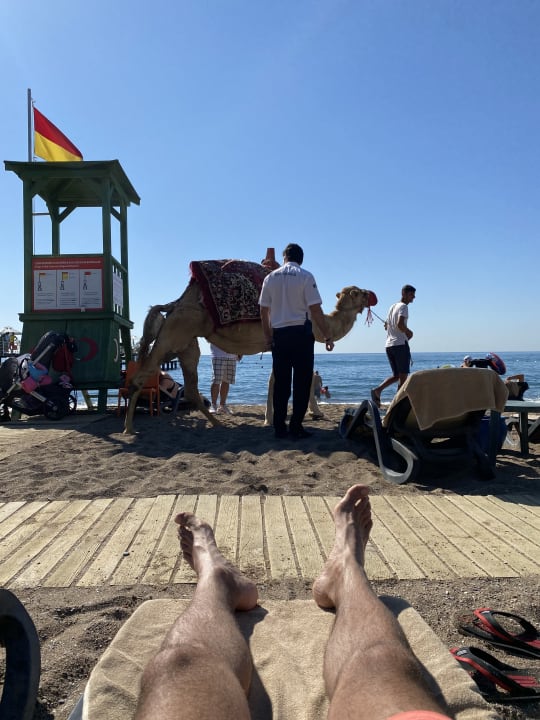 Strand Limak Lara Deluxe Hotel & Resort