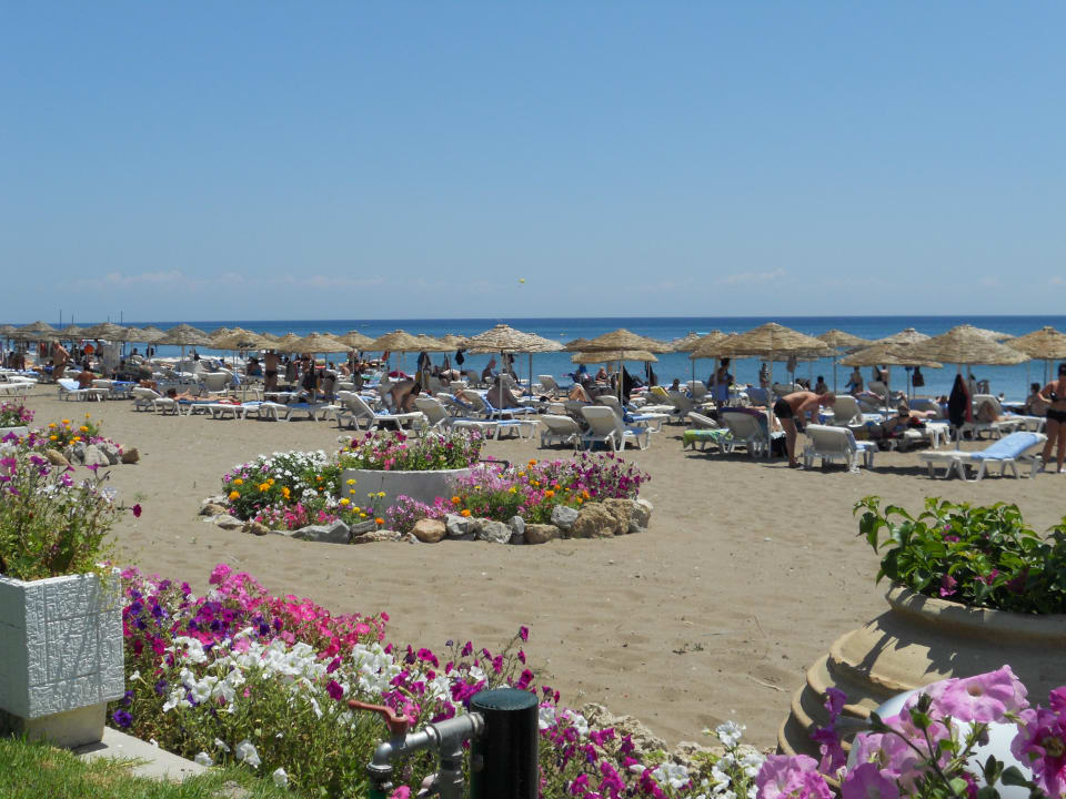 Sehr gepflegter Strand Hotel Calypso Beach