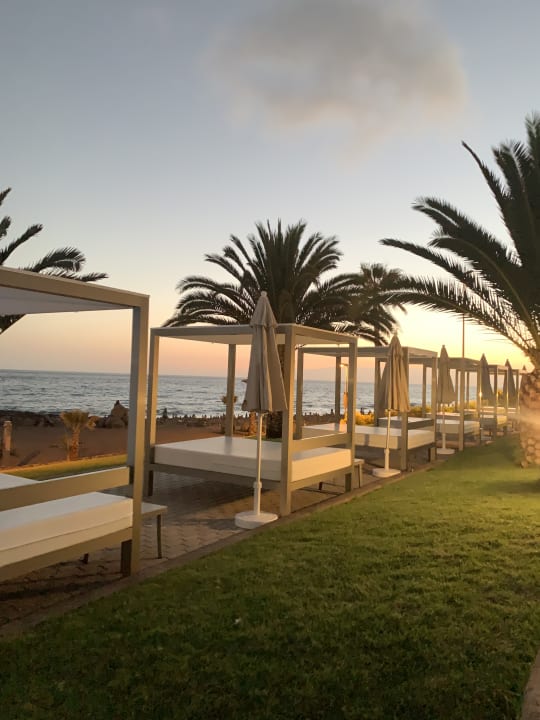 Gartenanlage Hotel Riu Palace Tenerife