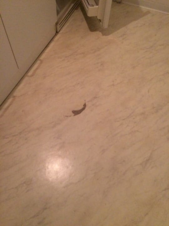 Zimmer Days Inn Leipzig City Centre