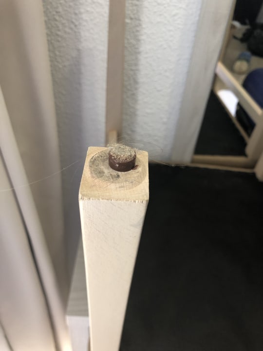 Zimmer HSM Canarios Park