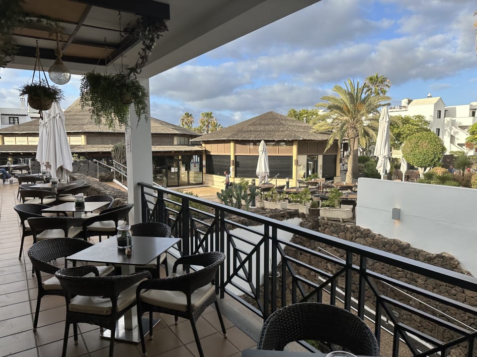 Gastro allsun App.-Hotel Albatros