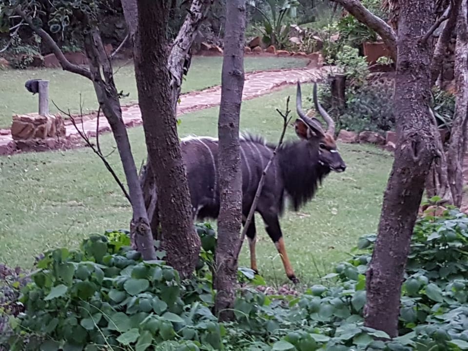 Gartenanlage Ants Hill