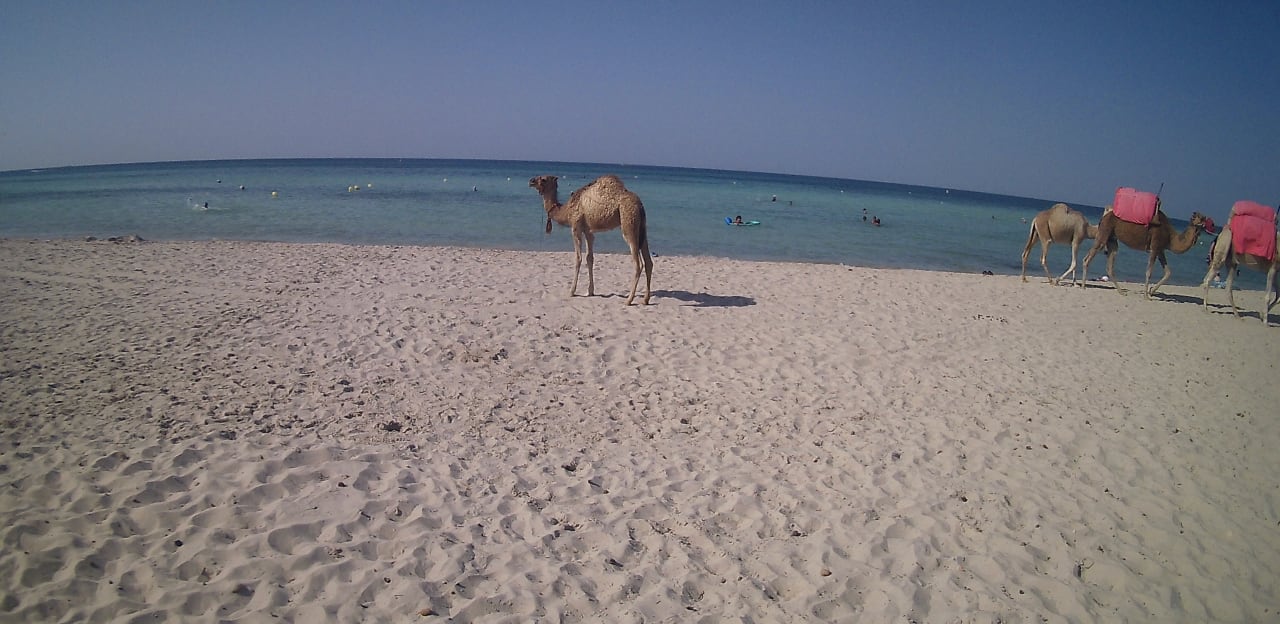 Strand Iberostar Waves Mehari Djerba