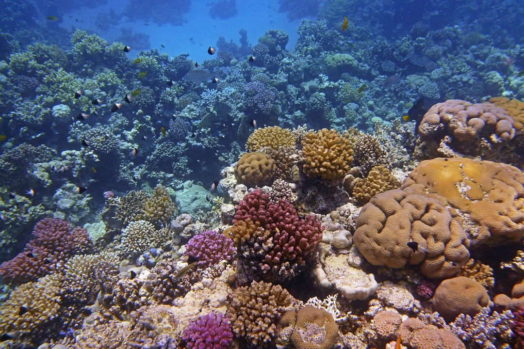 Sport & Freizeit Makadi Spa - Adults only