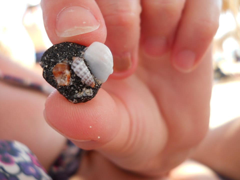 Kamyk i trzy muszelki Hotel Titanic Palace