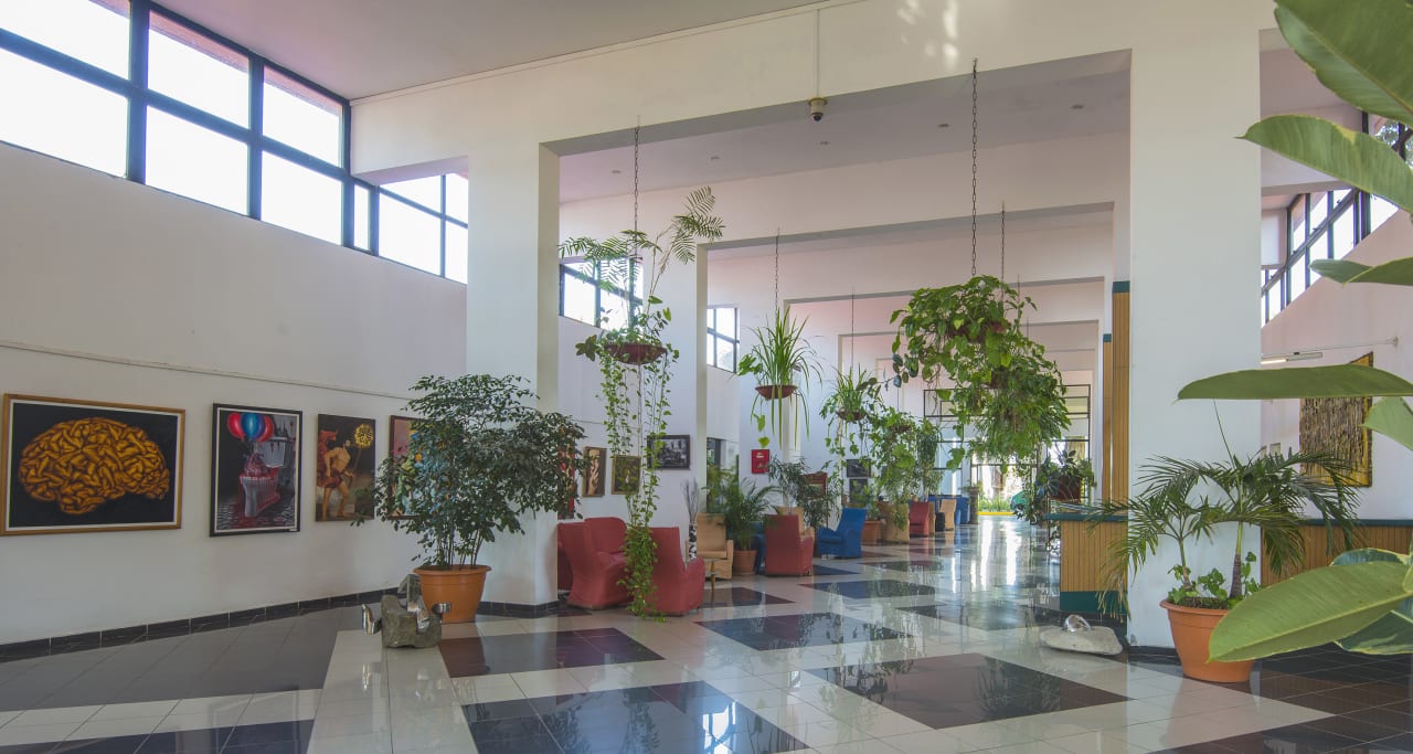 Lobby Hotel Jagua Affiliated by Meliá