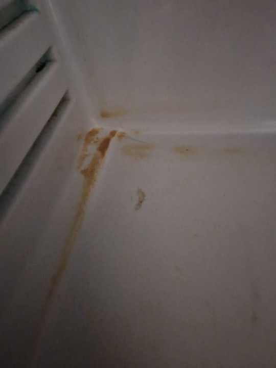 Zimmer Pickalbatros Citadel Resort