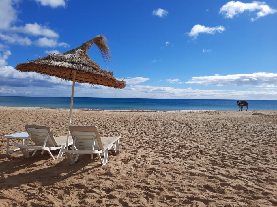 Strand Iberostar Waves Averroes