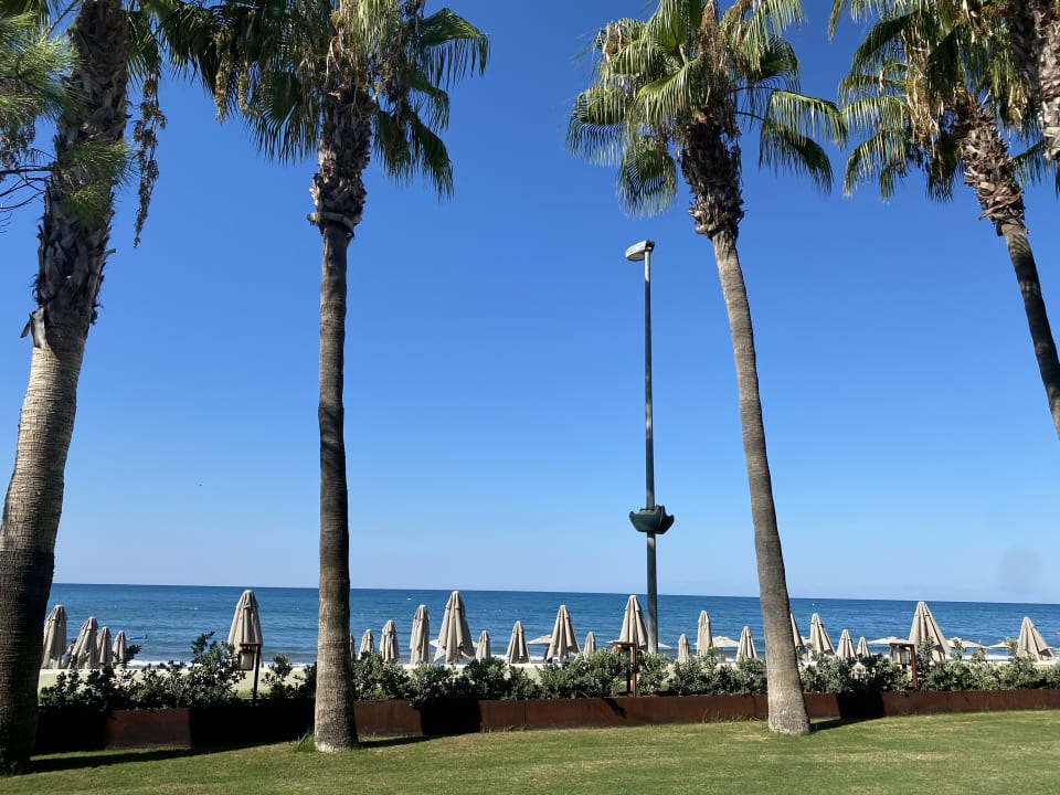 Ausblick Acanthus Cennet Barut Collection