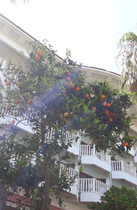 Sonstiges Hotel Defne Garden