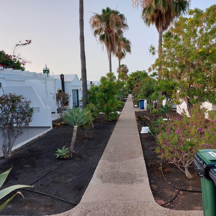 Gartenanlage Hotel Hyde Park Lane