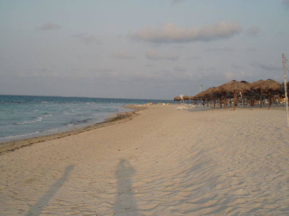 Strand Iberostar Origin Playa Alameda