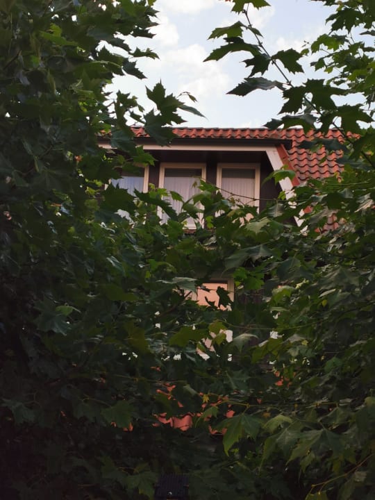 Außenansicht Landhotel Lewitz Mühle