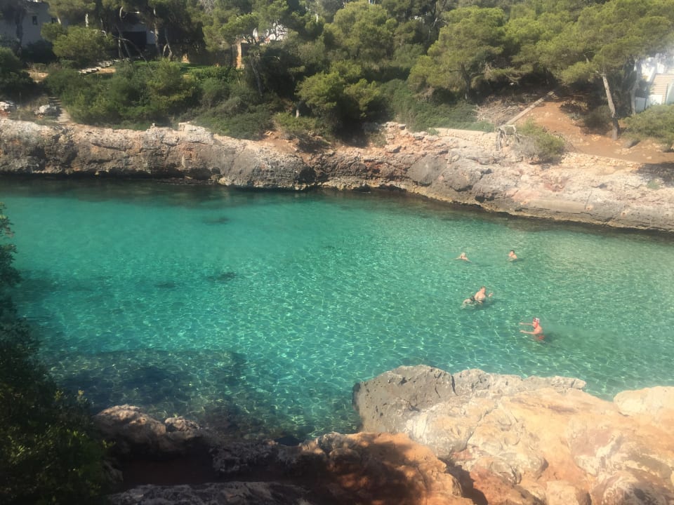 Strand Calimera Fido Gardens