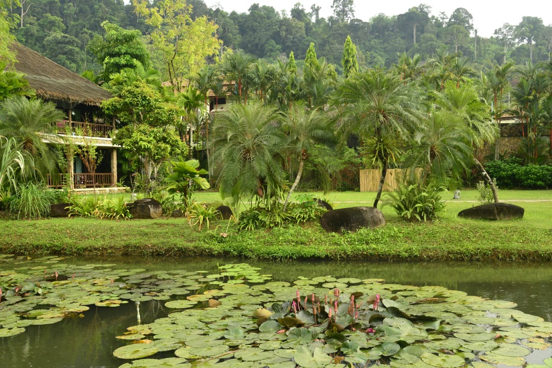 Gartenanlage Khaolak Paradise Resort