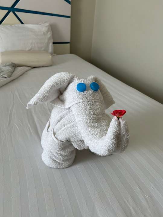 Zimmer Gravity Hotel & Aquapark Sahl Hasheesh