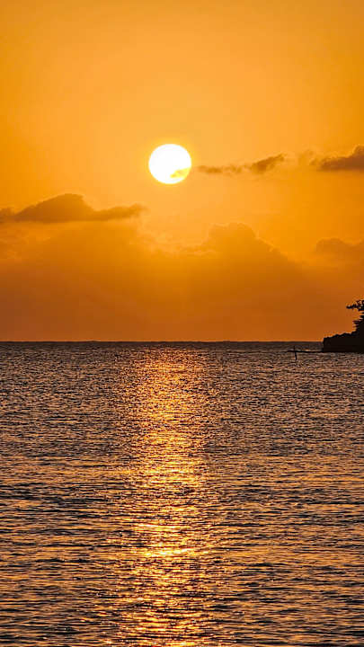 Strand Hotel Riu Negril