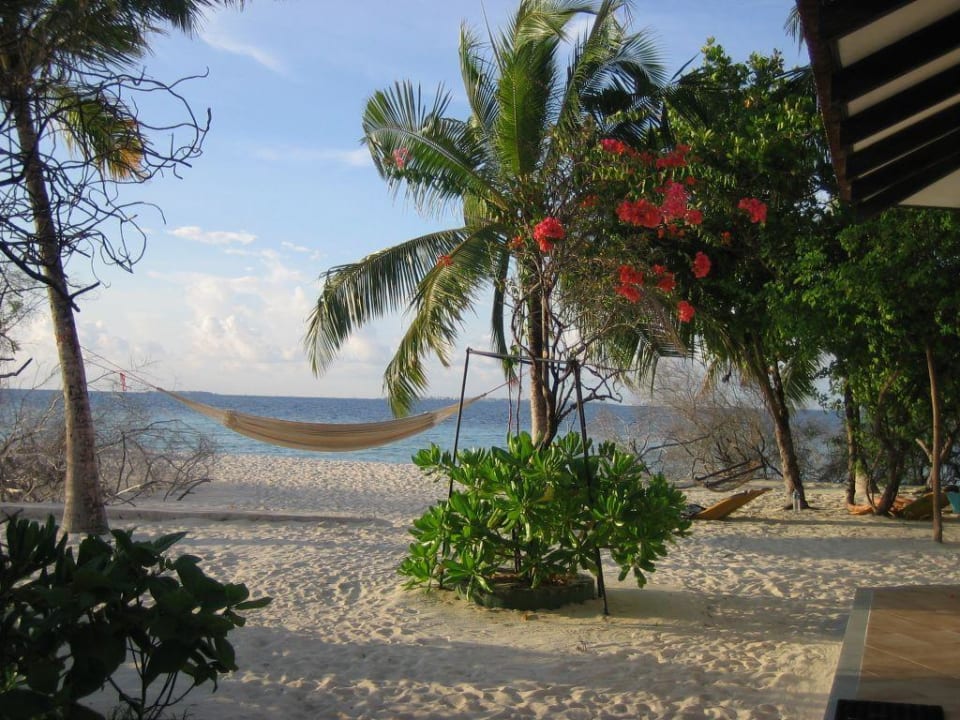 Ein kleines Paradies Embudu Village