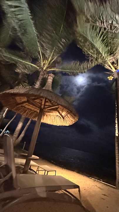 Strand Tropical Attitude - Adults only