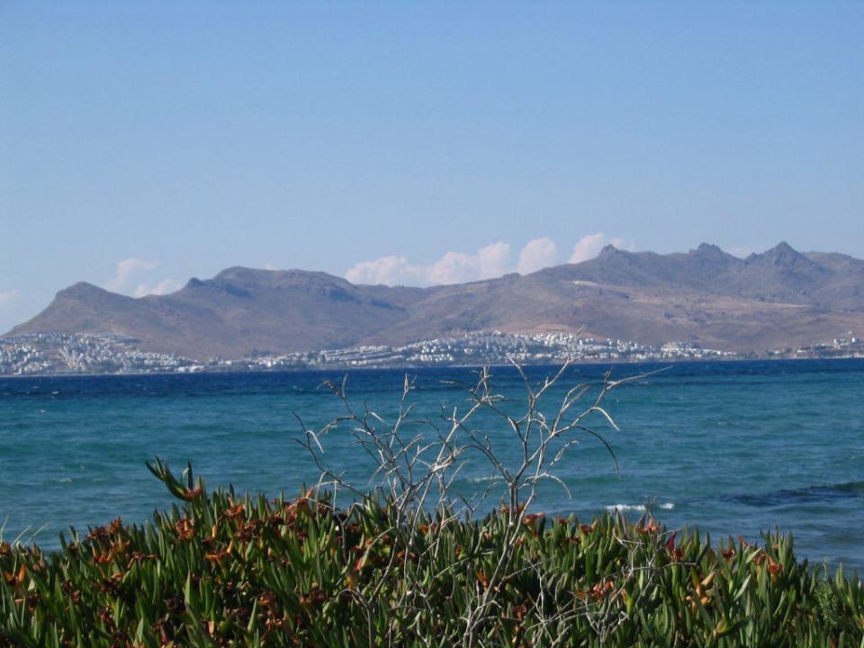 Blick auf Bodrum Hotel Zorbas Beach