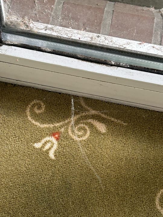 Zimmer Entrée Groß Borstel Garni Hotel