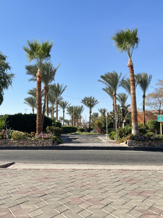 Gartenanlage Jaz Makadi Oasis Resort