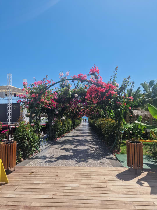 Gartenanlage Rubi Platinum Sign