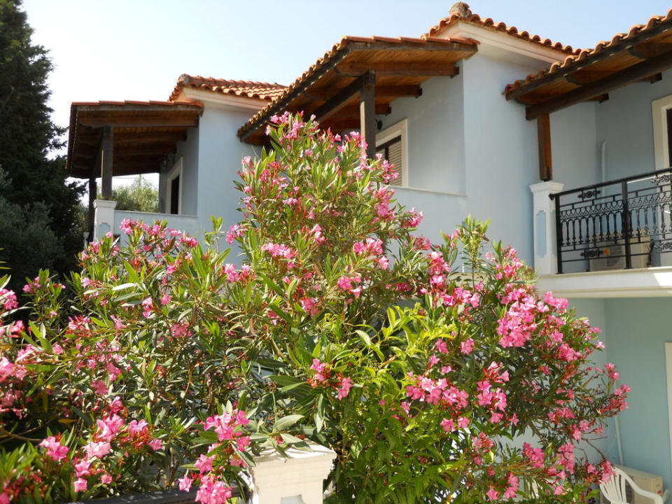 Nasze bungalowy Alexandra Beach Resort & Spa