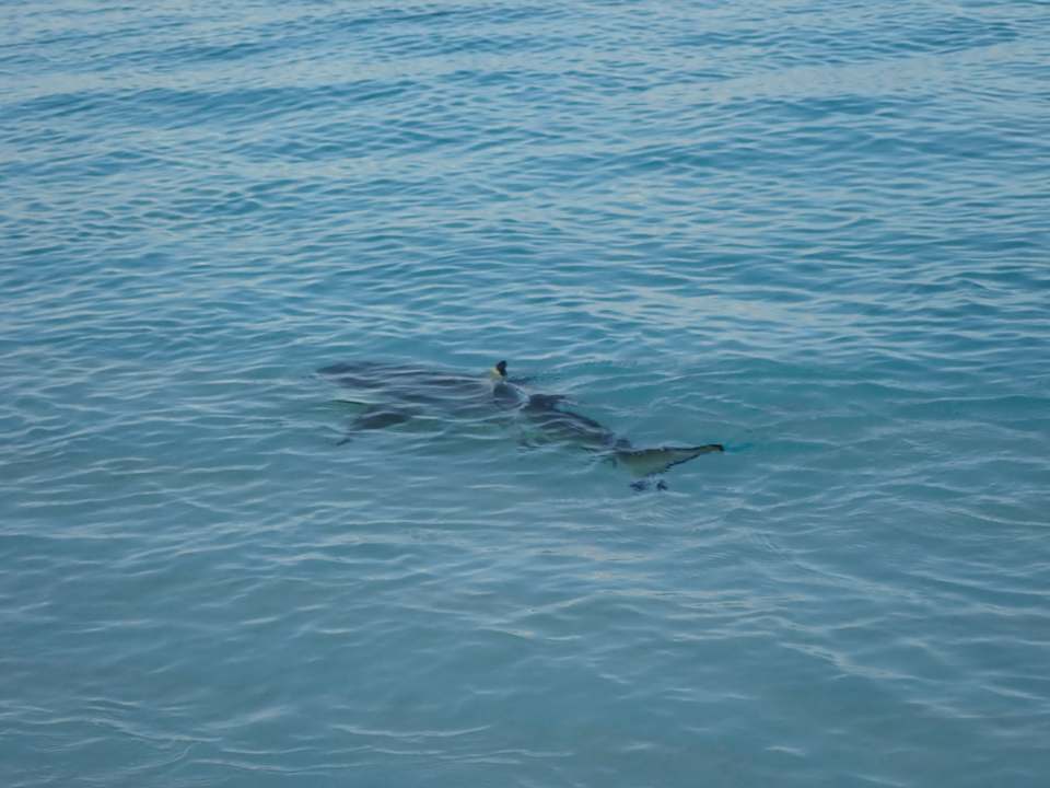 Sonstiges Meeru Maldives Resort Island