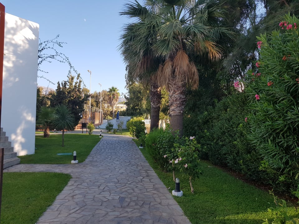 Garten Atlantica Marmari Beach