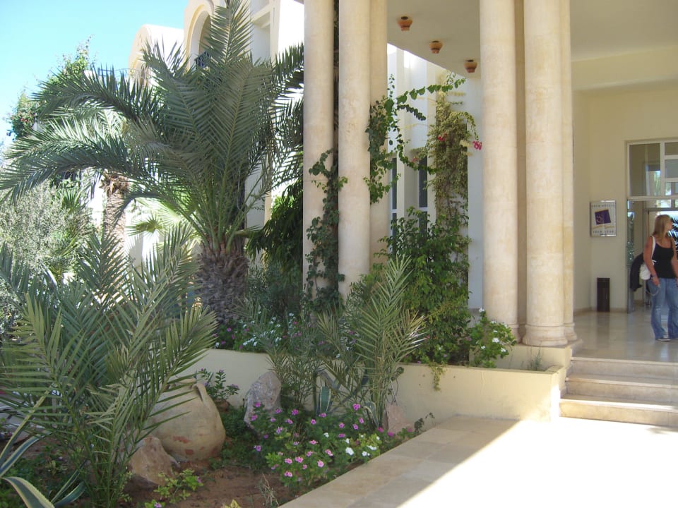 Sonstiges Hotel Eden Star