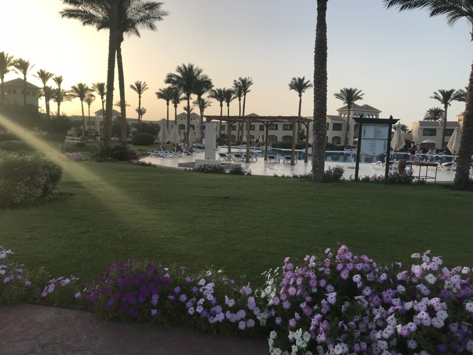 Gartenanlage Cleopatra Luxury Resort Makadi Bay