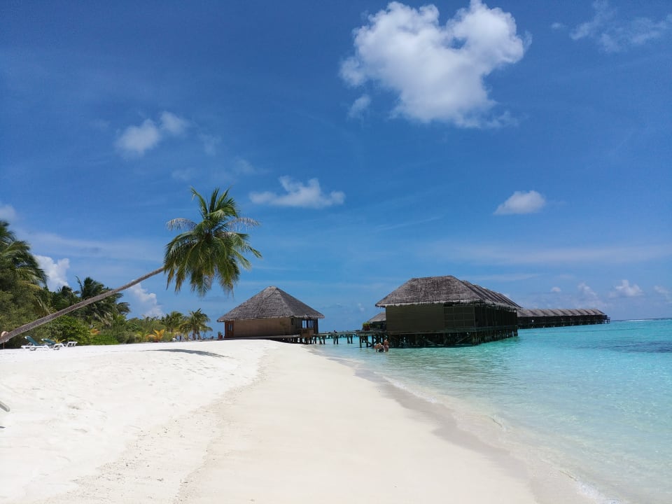 Strand Meeru Maldives Resort Island